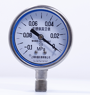 Y60-BF 不銹鋼耐蝕壓力表